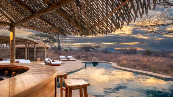 OLIVER’S CAMP: Tarangire park - Image 2
