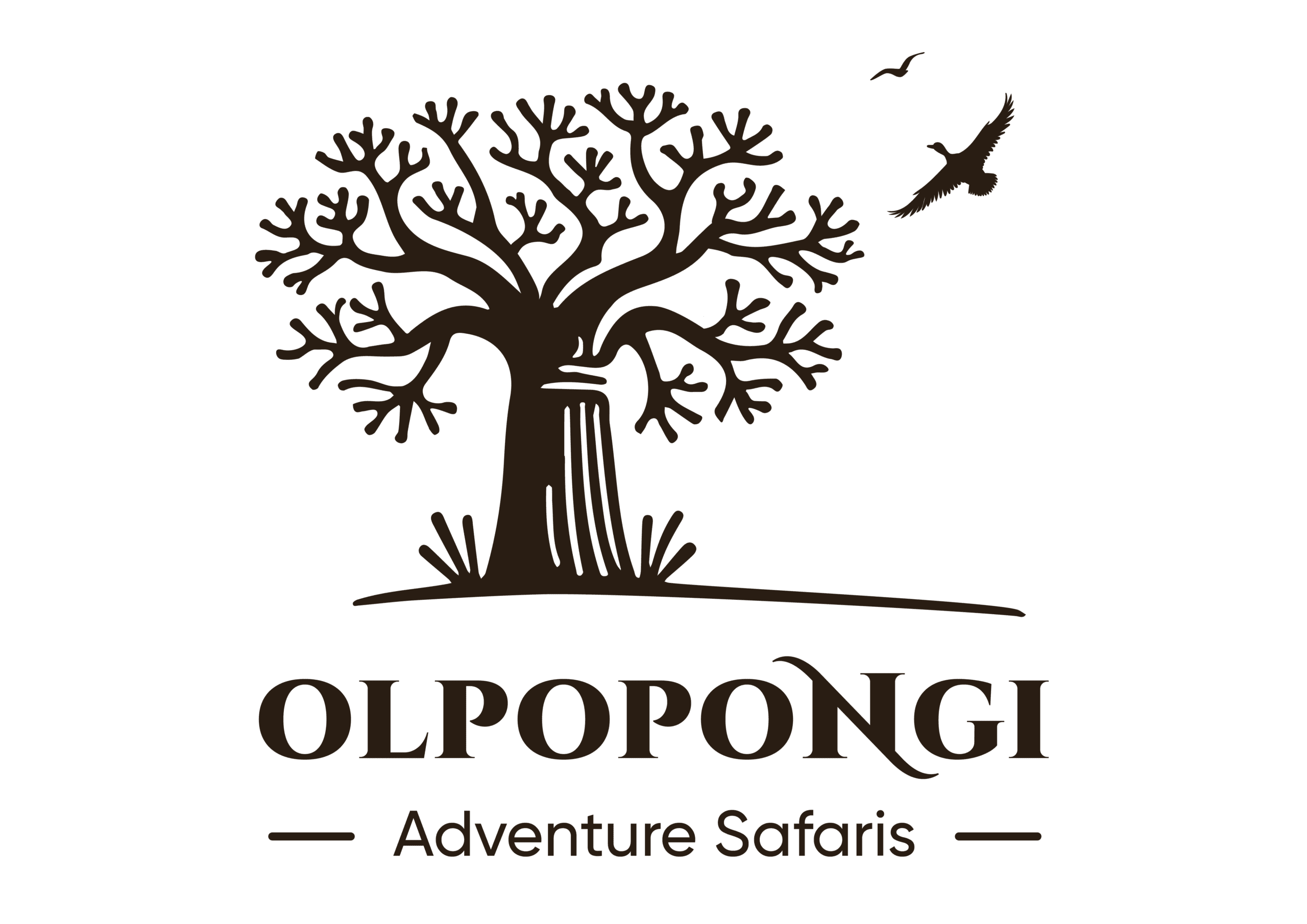 olpopongiadventure.com