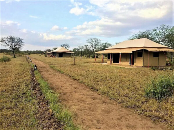 INTO WILD AFRICA – TENTED CAMP: Centre Serengeti - Image 2