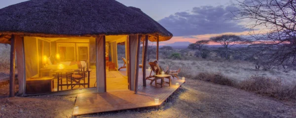 OLIVER’S CAMP: Tarangire park - Image 7