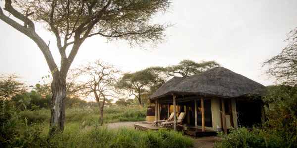 OLIVER’S CAMP: Tarangire park - Image 5