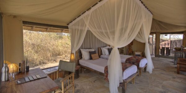 OLIVER’S CAMP: Tarangire park - Image 6
