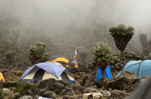 6 Days / 5 Nights- Machame Route - Image 5