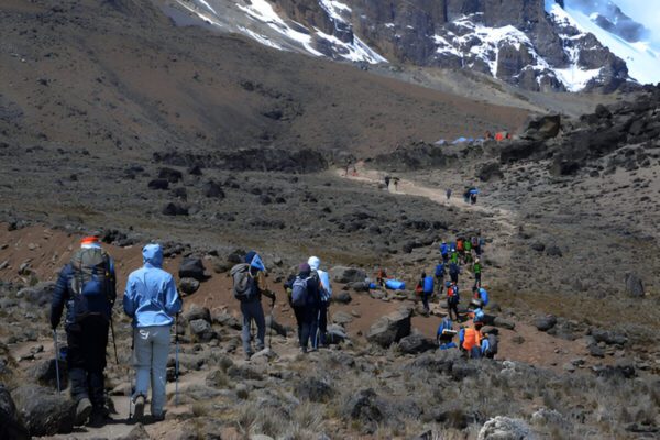 6 Days / 5 Nights- Machame Route - Image 6