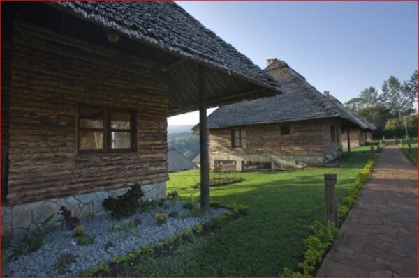 KITELA LODGE, KARATU - Image 4