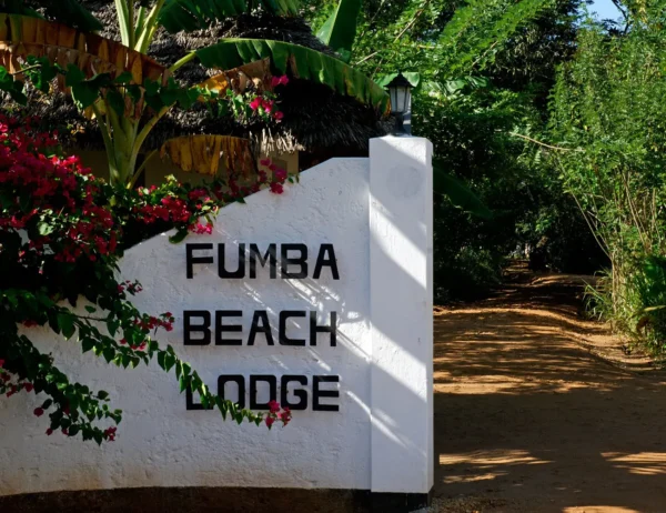 FUMBA BEACH LODGE - Image 2