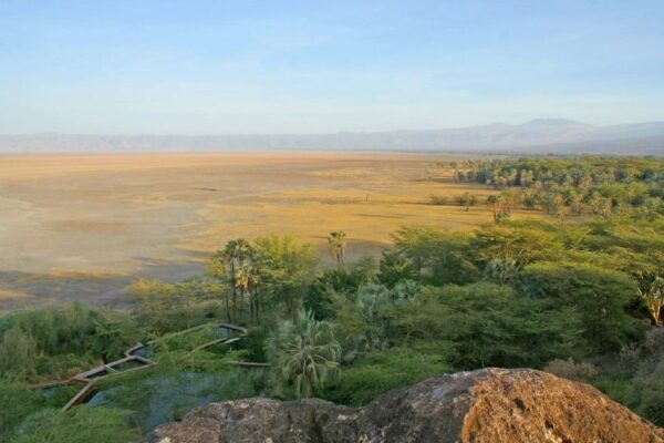 KISIMA NGEDA TENTED CAMP - Image 4