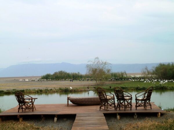 KISIMA NGEDA TENTED CAMP - Image 2