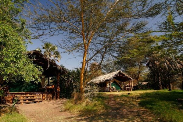 KISIMA NGEDA TENTED CAMP - Image 6