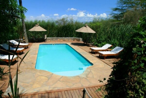 KISIMA NGEDA TENTED CAMP - Image 3