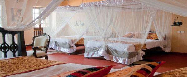 MIZINGANI SEAFRONT HOTEL – STONE TOWN - Image 3
