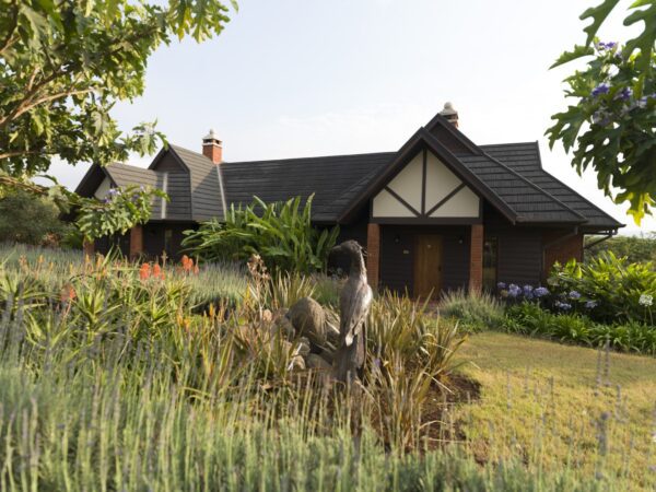 THE RETREAT AT NGORONGORO - Image 5