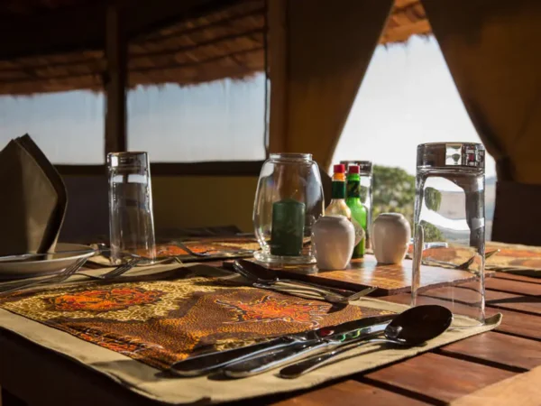KARATU SIMBA LODGE - Image 4