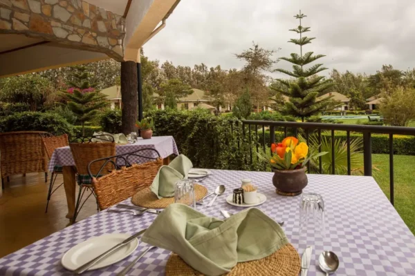 COUNTRY LODGE - Image 3