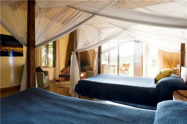 NGORONGORO FARM HOUSE - Image 4