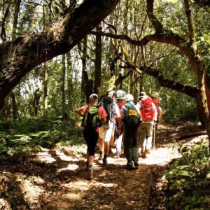 6 Days / 5 Nights- Machame Route