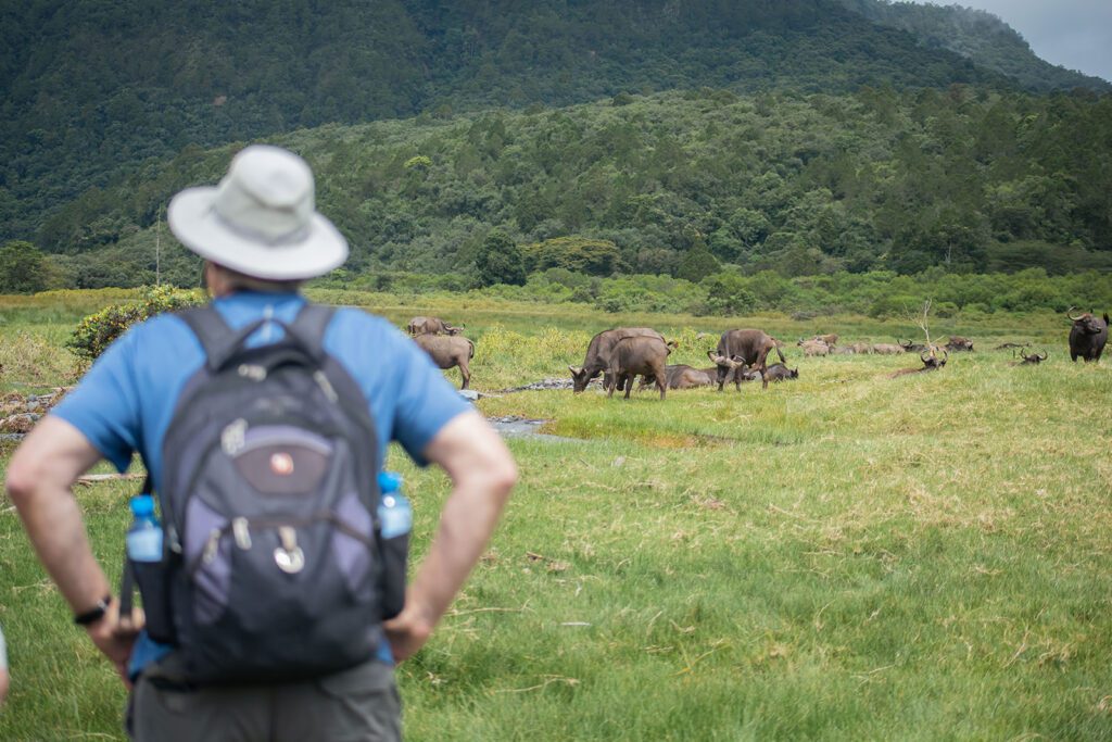 Arusha National Park